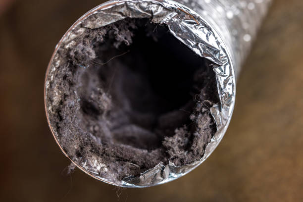 Air Duct Mold Removal in Glendale Heights, IL